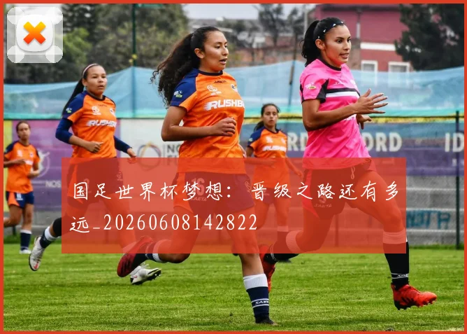 国足世界杯梦想:晋级之路还有多远_20260608142822