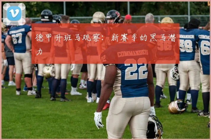 德甲升班马观察：新赛季的黑马潜力